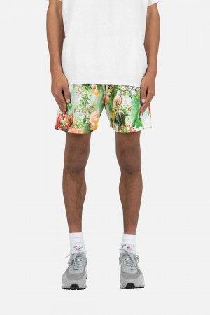 Mnml Cactus Mesh Shorts Shorts Multi | RI23-F4BS