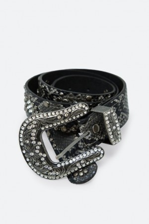 Mnml Python Mixed Studded Belt Belts Multi | MW53-L6EN