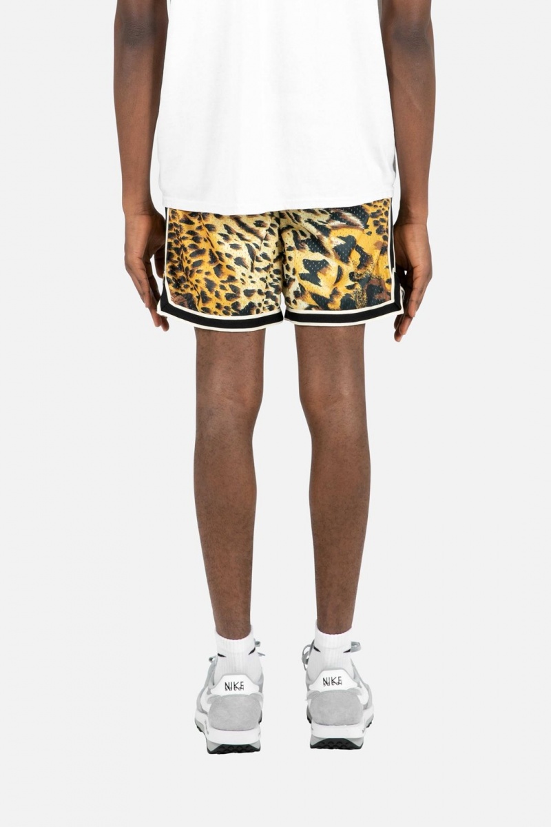 Mnml Animal Basketball Shorts Shorts Multi | KU92-I1IQ